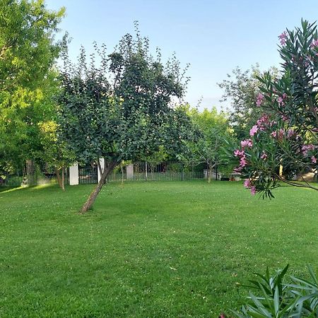 Apartment Oaza Relax كوبر المظهر الخارجي الصورة