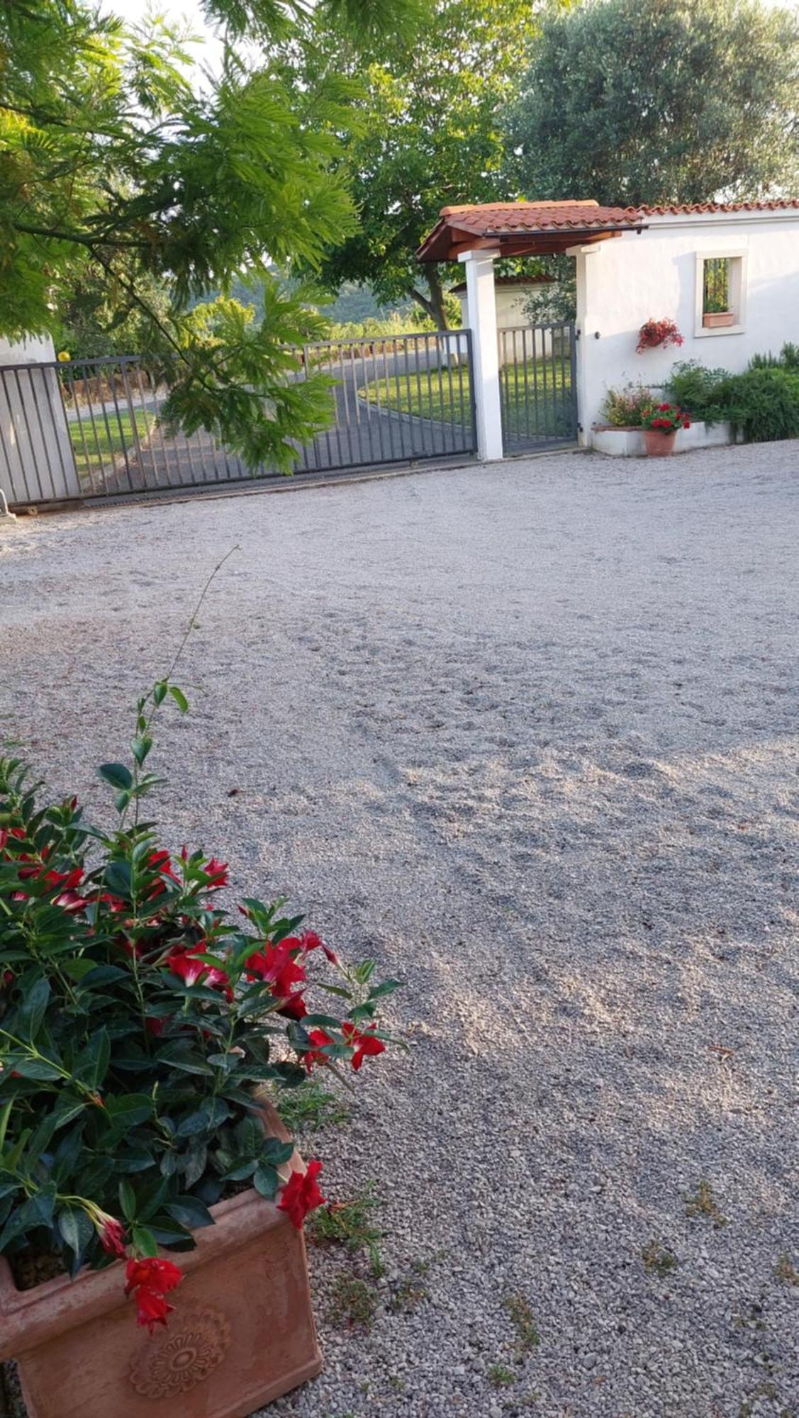Apartment Oaza Relax كوبر المظهر الخارجي الصورة