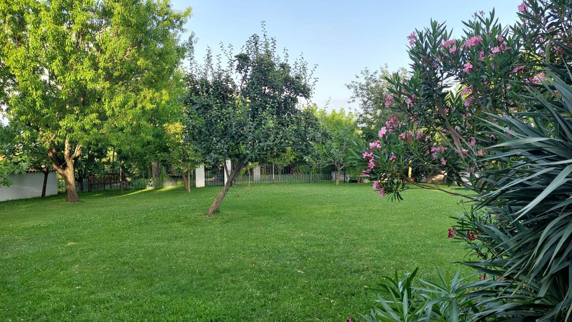 Apartment Oaza Relax كوبر المظهر الخارجي الصورة